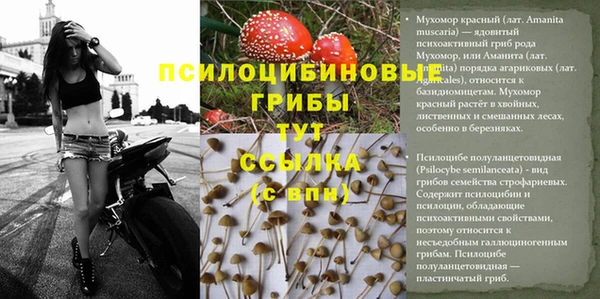 mdpv Балабаново