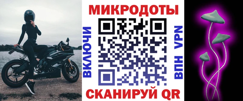 Купить закладки Строитель Галлюциногенные грибы Psilocybe